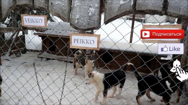 Финляндия. Горнолыжный курорт Pyha. Туризм за рубежом. смотреть онлайн