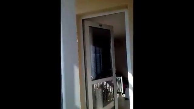 Пеллеты не дымят смотреть онлайн