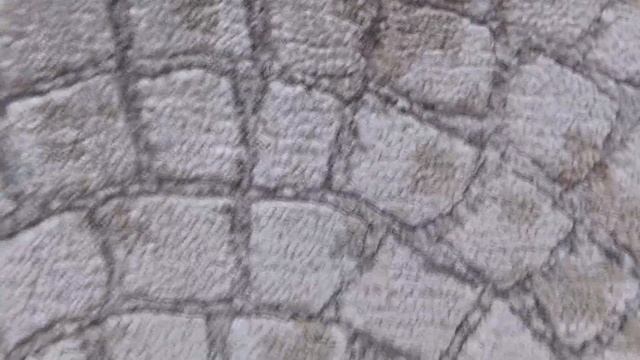 Ivory And Taupe Silken Roman Mosaic Design Hand-Knotted Oriental Rug226415 смотреть онлайн