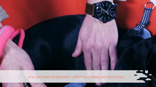 Делай То, Что Вдохновляет Творить