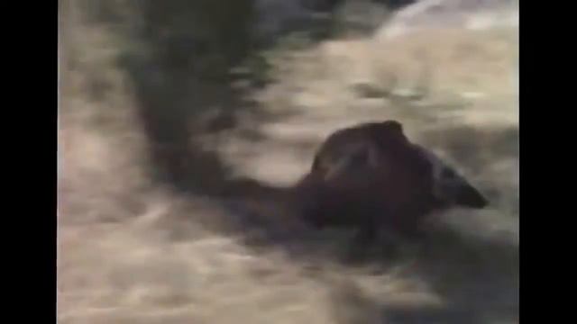 За счет каких факторов мы собираемся обгонять конкурентов смотреть онлайн