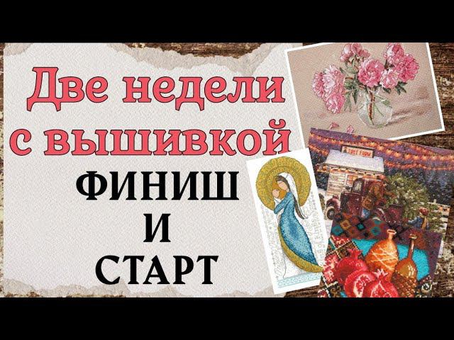 142. Продвижения за ДВЕ НЕДЕЛИ | Старт и Финиш | Вышивка крестом смотреть онлайн