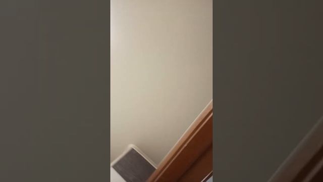 Натяжной глянцевый потолок в туалете смотреть онлайн