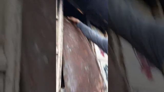 |Стена Виктора Цоя• киев| смотреть онлайн