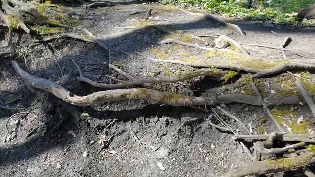 ГОРЯЧИЙ КЛЮЧ смотреть онлайн