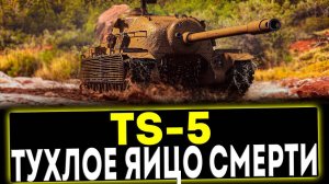 ✅ TS-5 - ТУХЛОЕ ЯЙЦО СМЕРТИ! ОБЗОР ТАНКА! МИР ТАНКОВ