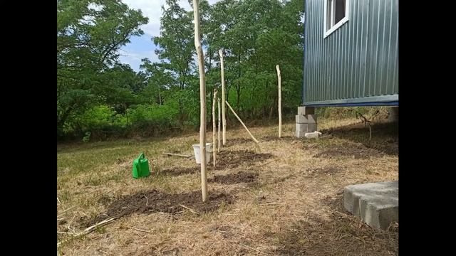 Плетень своими руками.Начало. смотреть онлайн