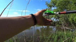 КРУПНЫЙ КАРАСЬ на боковой кивок? Рыбалка в июне 2021. Ловля в камыше!