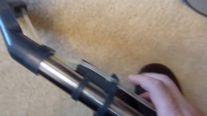 Как мыть ковер моющим пылесосом