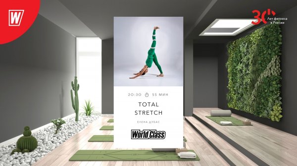 TOTAL STRETCH с Еленой Дубас | 31 января 2023 | Онлайн-тренировки World Class