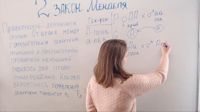 2 закон. Менделя решение задачи смотреть онлайн