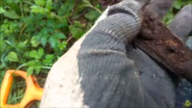 Лесная прогулка в пятницу 13-го с MD-6350 смотреть онлайн