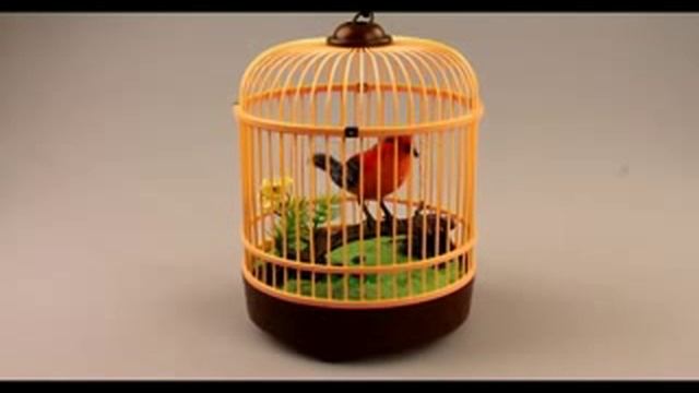 Певчие птицы Щегол смотреть онлайн