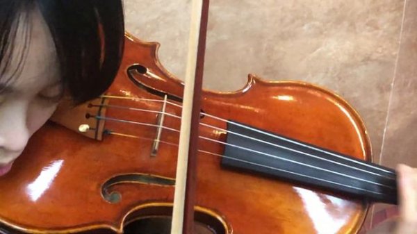 Ifstrings Master Build Italian Spruce Guarneri del Gesu 1742 "Lord Wilton" -2