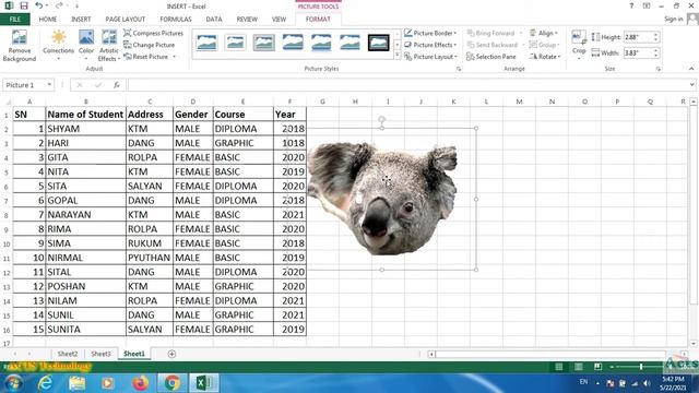 Microsoft Excel 2013 Insert Tab Pivot Table, Pivot Chart and other all option in Nepali ! Day 4. смотреть онлайн