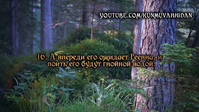А впереди его ожидает Геенна, и поить его будут гнойной водой.