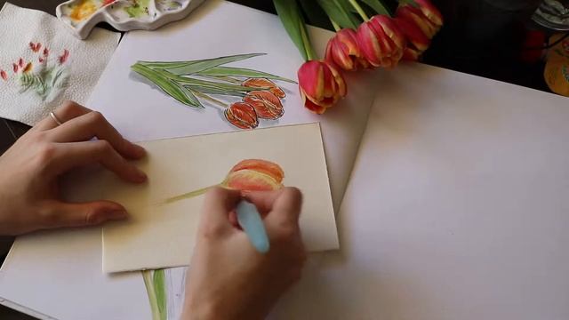Рисование тюльпана акварелью: процесс смотреть онлайн