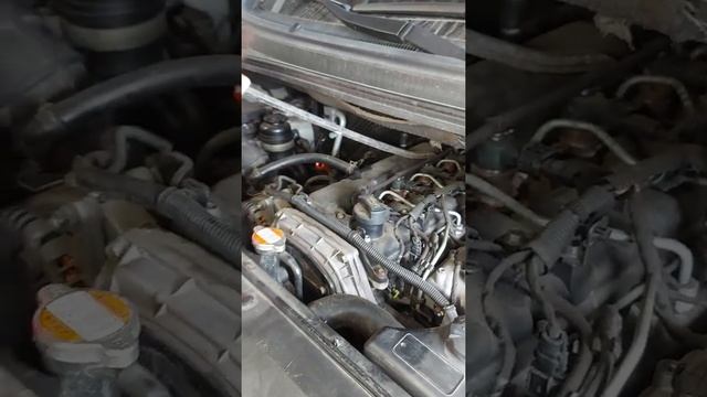 появился странный звук на холодную, как проверить стучат ли форсунки? hyundai grand starex 2008г смотреть онлайн