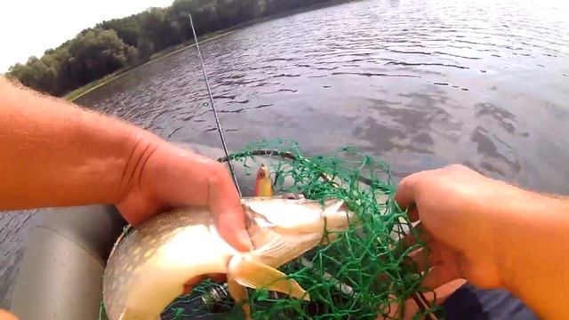 Твичинг.Ловля щуки на  Deps Balisong Minnow 130 Sp