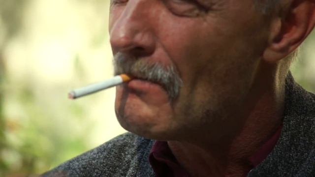 Безразличие смотреть онлайн