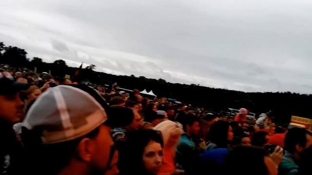 Дикая Мята (Фестиваль Дикая Мята в Бунырево) Концерт три дня