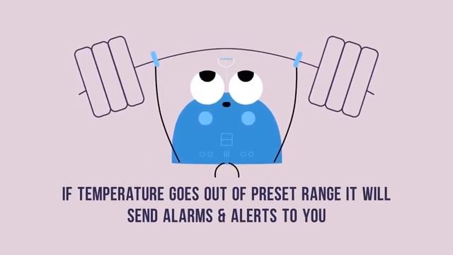 Smart Probe Data Logger смотреть онлайн