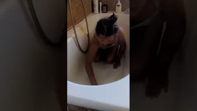 Дом и Современные Технологии