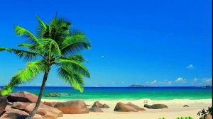 Все исчезло с рабочего стола Что делать? Как вернуть рабочий стол windows7 | Как восстановить иконк