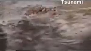 Последние кадры в их жизни  цунами в Таиланде