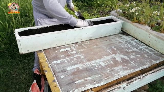 Садовый ящик. Деревянная грядка. Готовлю емкость для высадки клубники. 186с смотреть онлайн
