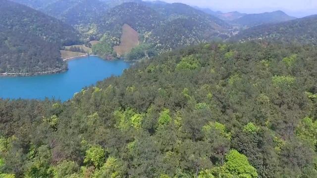 Changxing tea farm смотреть онлайн