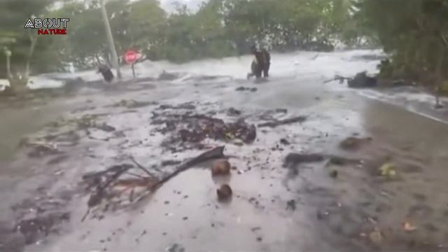 Small Tsunami! One Island Swept by Monster Waves смотреть онлайн