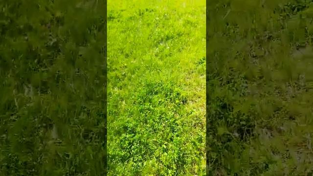 Руины Вышеградской крепости смотреть онлайн