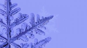 Живая геометрия, геометрия в природе