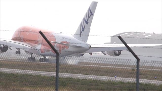 ANA Airbus A380-800 JA383A 9th test flight Landing at Toulouse Blagnac Airport смотреть онлайн
