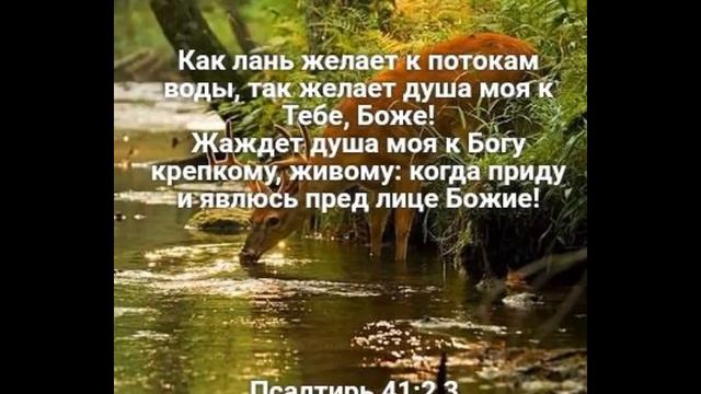 Золотой стих 13.04.22. Псалом 41. "Как лань желает к потокам воды, так желает душа моя к Тебе, Боже смотреть онлайн