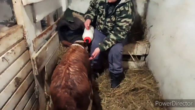 МЫ ОПЯТЬ ПРОСПАЛИ 😂 смотреть онлайн