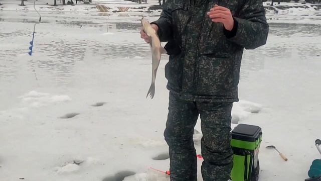 20.01.23 КРХ Белая Дача ,Основной водоём ,ловля леща! смотреть онлайн