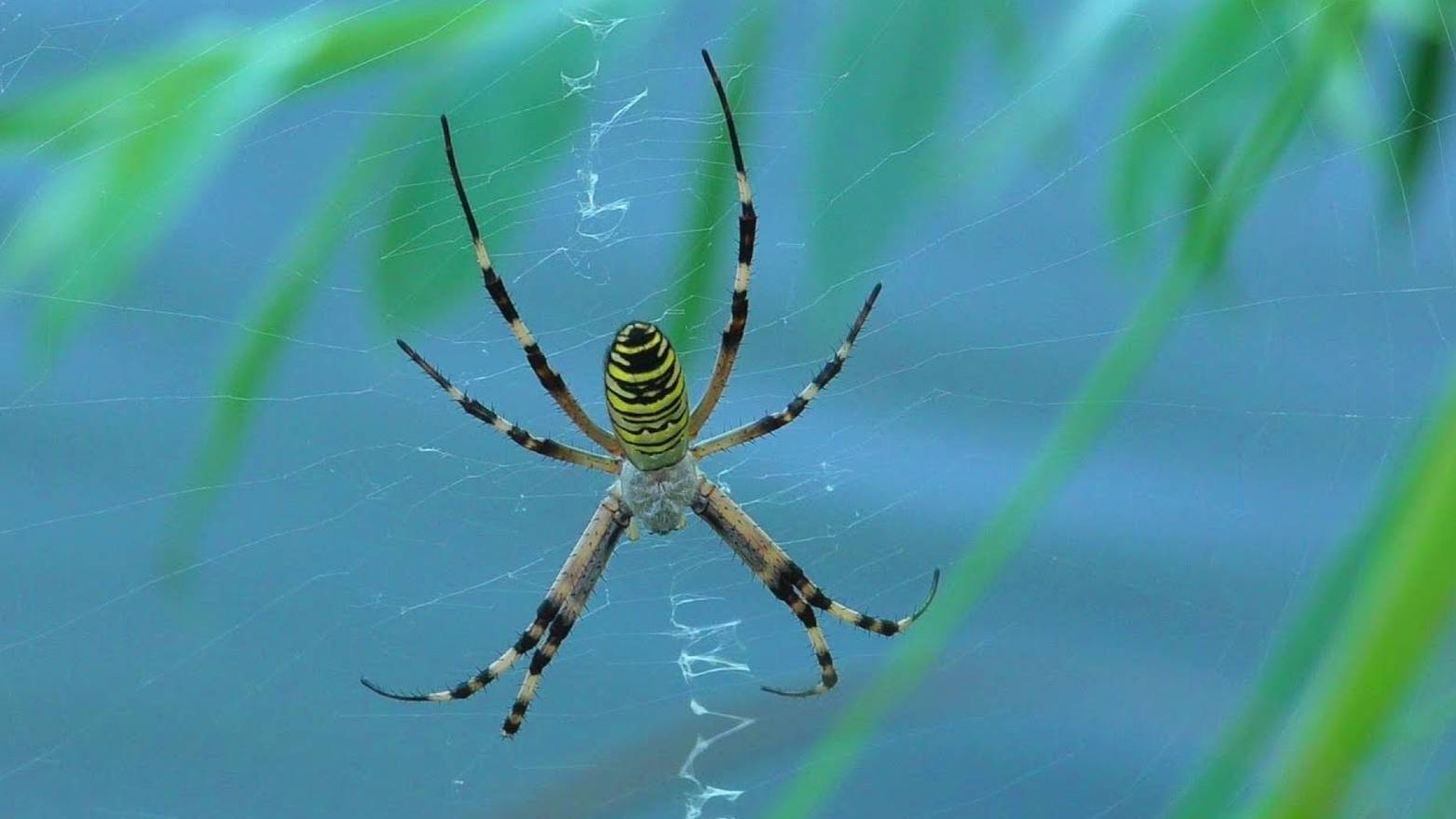 Рыбачка снова обловила Рыбалка в Астрахани на сазана смотреть онлайн