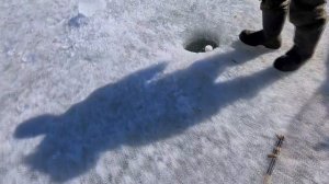 ЩУКА РВЕТ ХАПУГИ! РЫБЫ ПРОСТО ВАЛОМ! Рыбалка на хапугу хлопок!