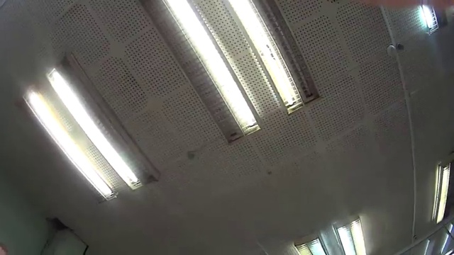 Животное смотреть онлайн