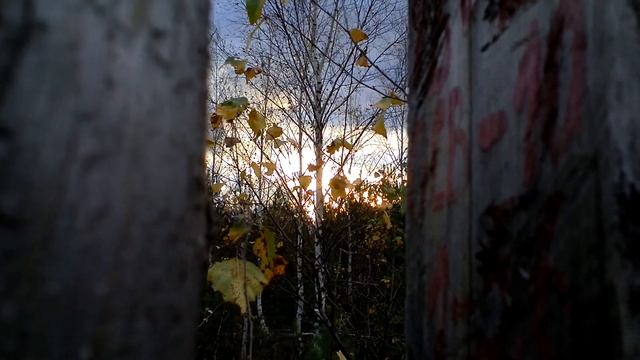 07-10-12 - осень-2 смотреть онлайн