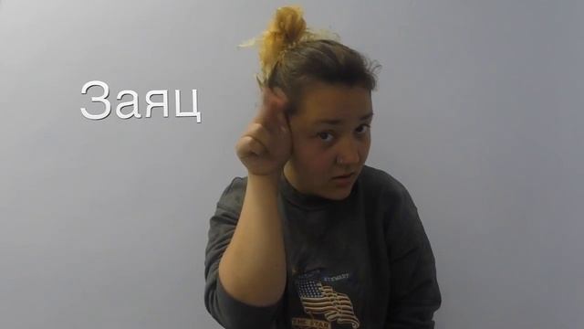 Русский жестовый язык, категория животные Заяц смотреть онлайн