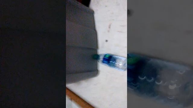 The best bottle flip master смотреть онлайн