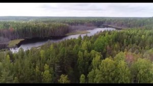 Песня для Папы. День рождения. Песня под гитару. Папа. С днём рождения. Гитара. Праздник. Отец. Бат