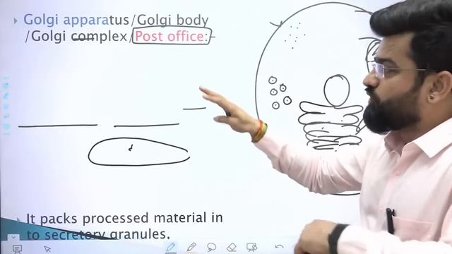Cell, Cell division #Adult Health Nursing महारथी Test Series #01 NORCET-6 | PRE & MAINS | By JIN смотреть онлайн