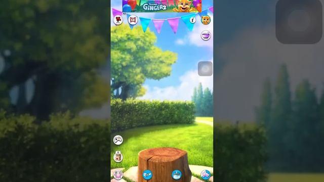 Talking Tom Cat 2 ??- Talking Cat Music So Funny | Cat Eating?????#talkingtom #talkingginger