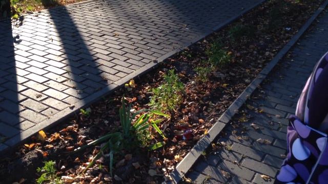 Влог: Наше утро. Вещи на море. Прогулка в парке. Костюмчик для Ильи. смотреть онлайн