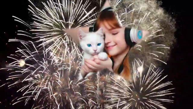 kitten dancing🐱 | beautiful kitten playing | cute kitten paro 🥰 💞 смотреть онлайн