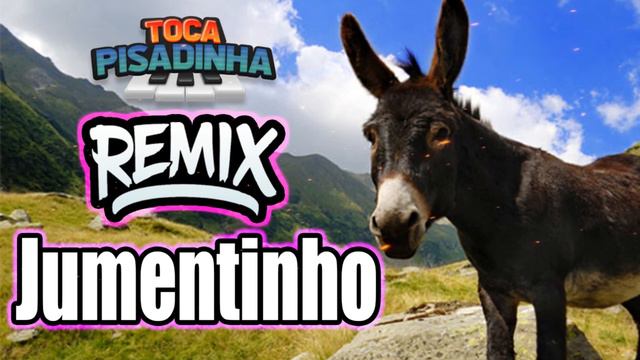JUMENTINHO VERSÃO PISADINHA REMIX смотреть онлайн